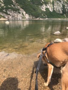 Dog Friendly St Mary's Glacier