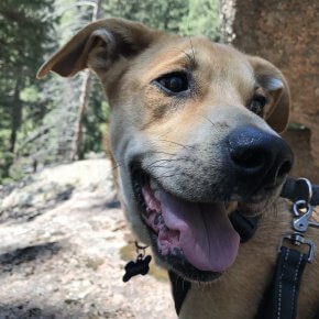 Penny excited for the hike ahead